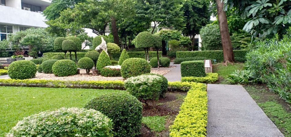 Soft and Hard Landscaping Sydney