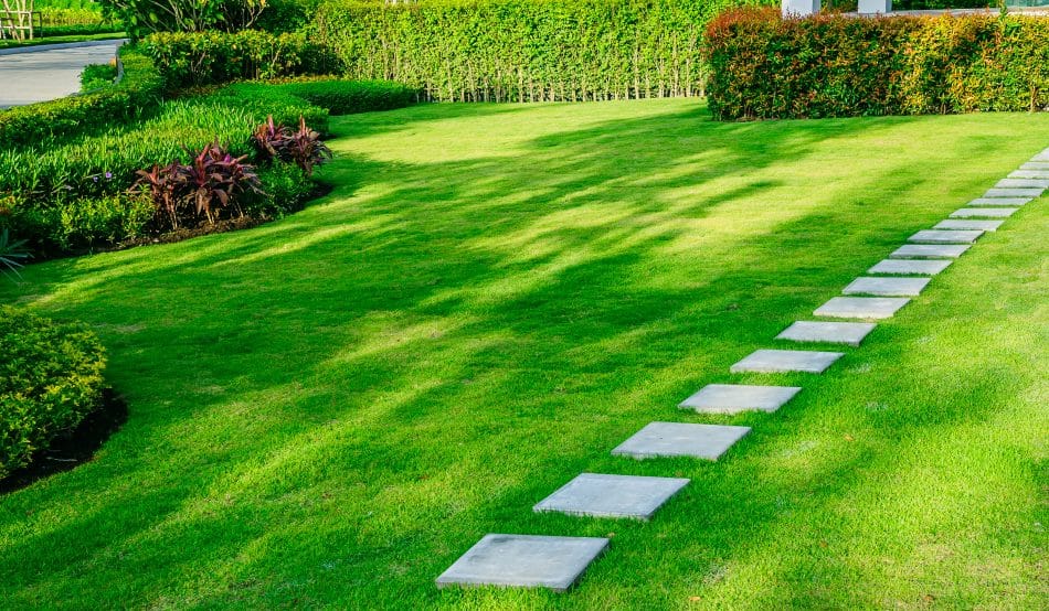 Lawn care services Sydney