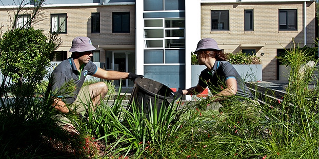 Garden clean up services Sydney