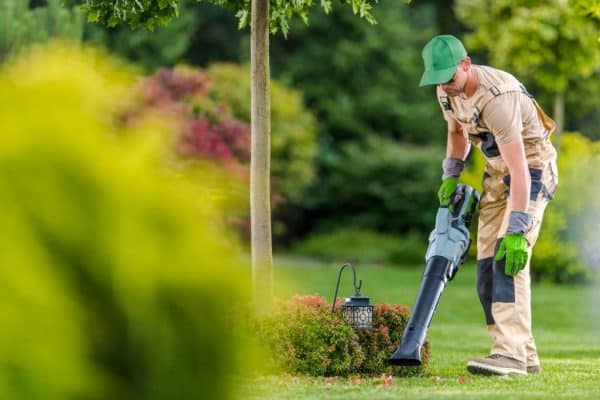 facility garden maintenance